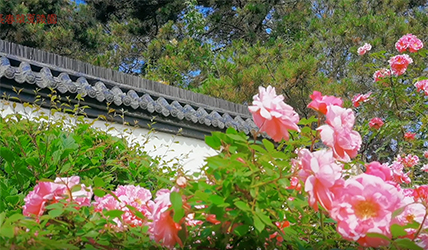 华夏美景