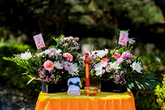 芳馨福泽，感念亲恩 丨 母亲节代祭扫套餐预订指南