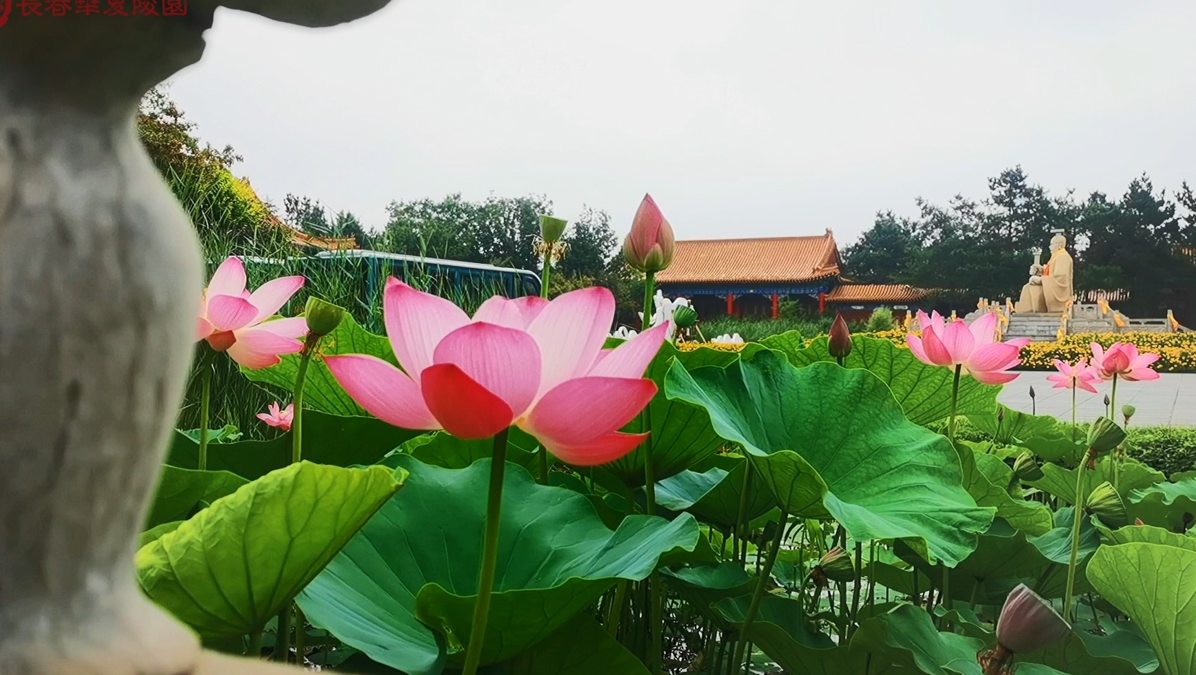 以温馨之礼，让思念圆满