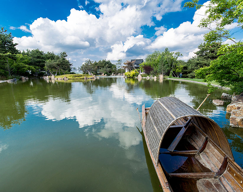 盛夏景致