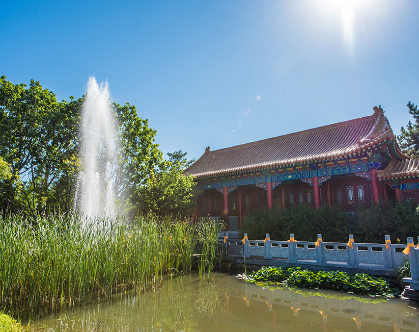 盛夏景致