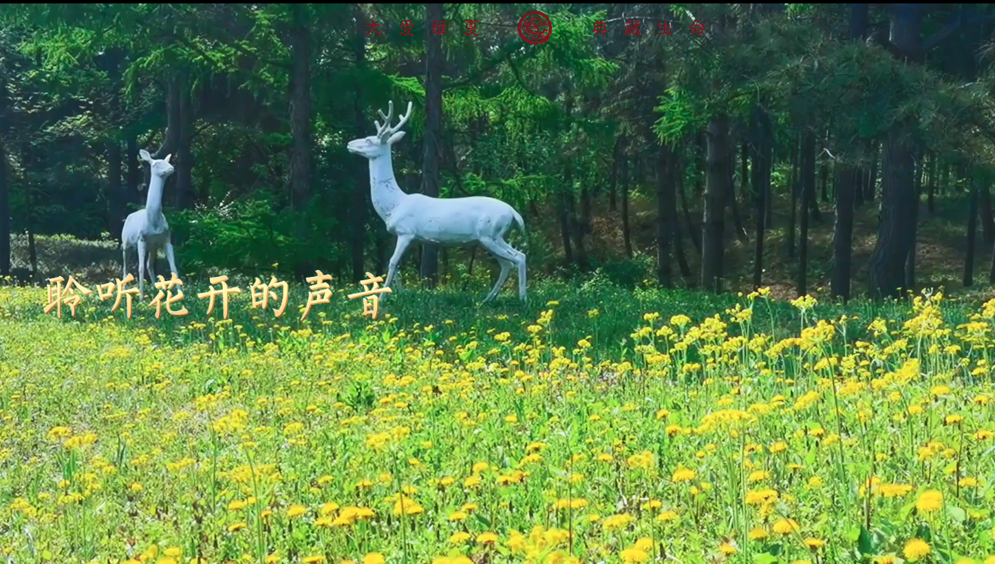 “华”繁叶茂，“夏”启新程