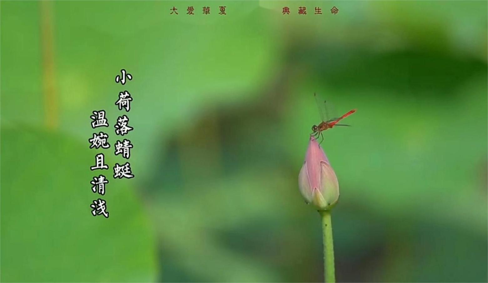 季节换了一个名字，华夏风景依旧