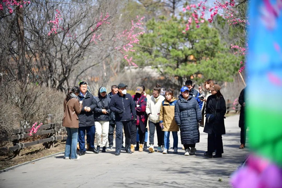 春暖花开中迎全国各地同仁来园参观 丨 在聚焦中绚发极致风采