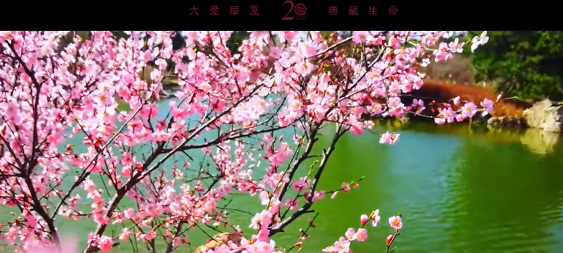 花起一山春色，风动满园缤纷