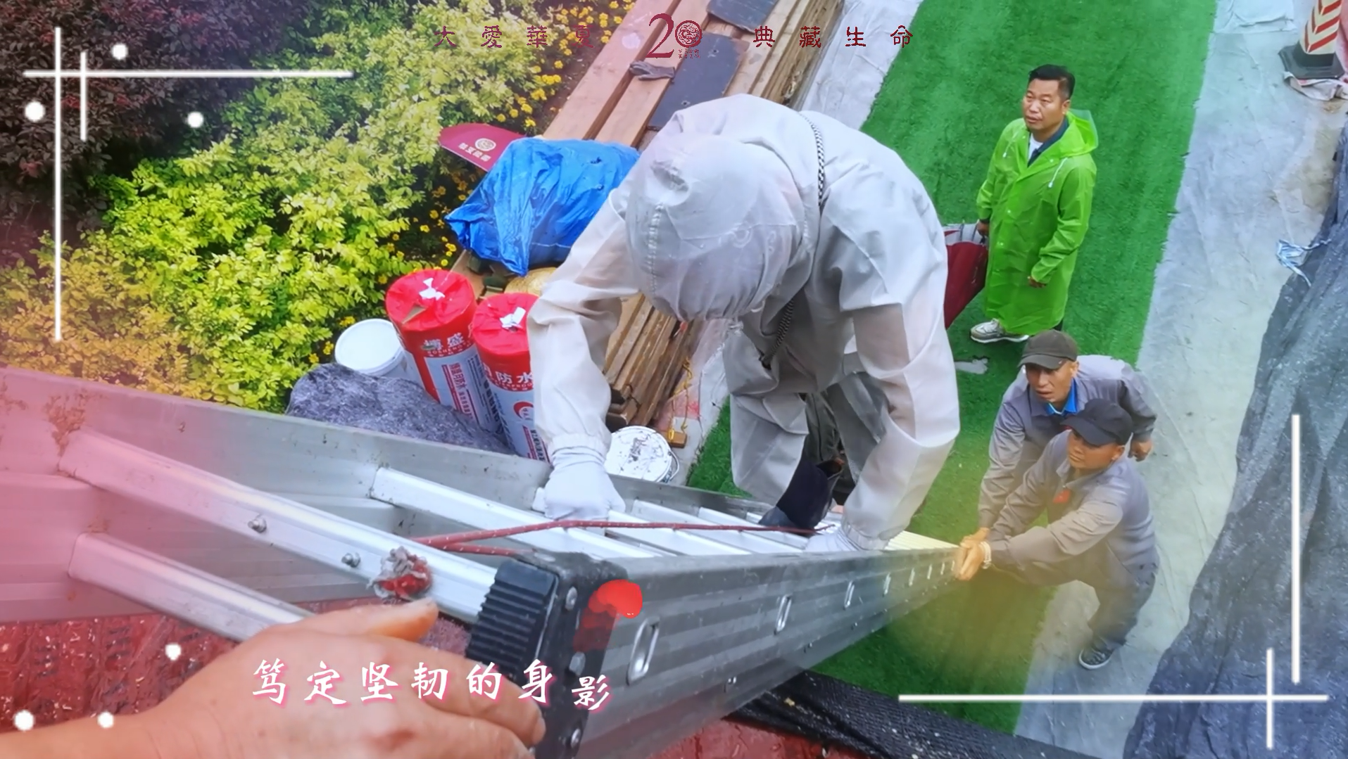 二十载，心引领，爱全情