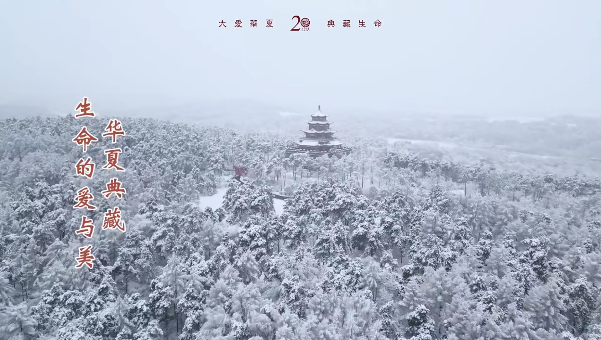 冬日雾凇，赴季节的银装素裹