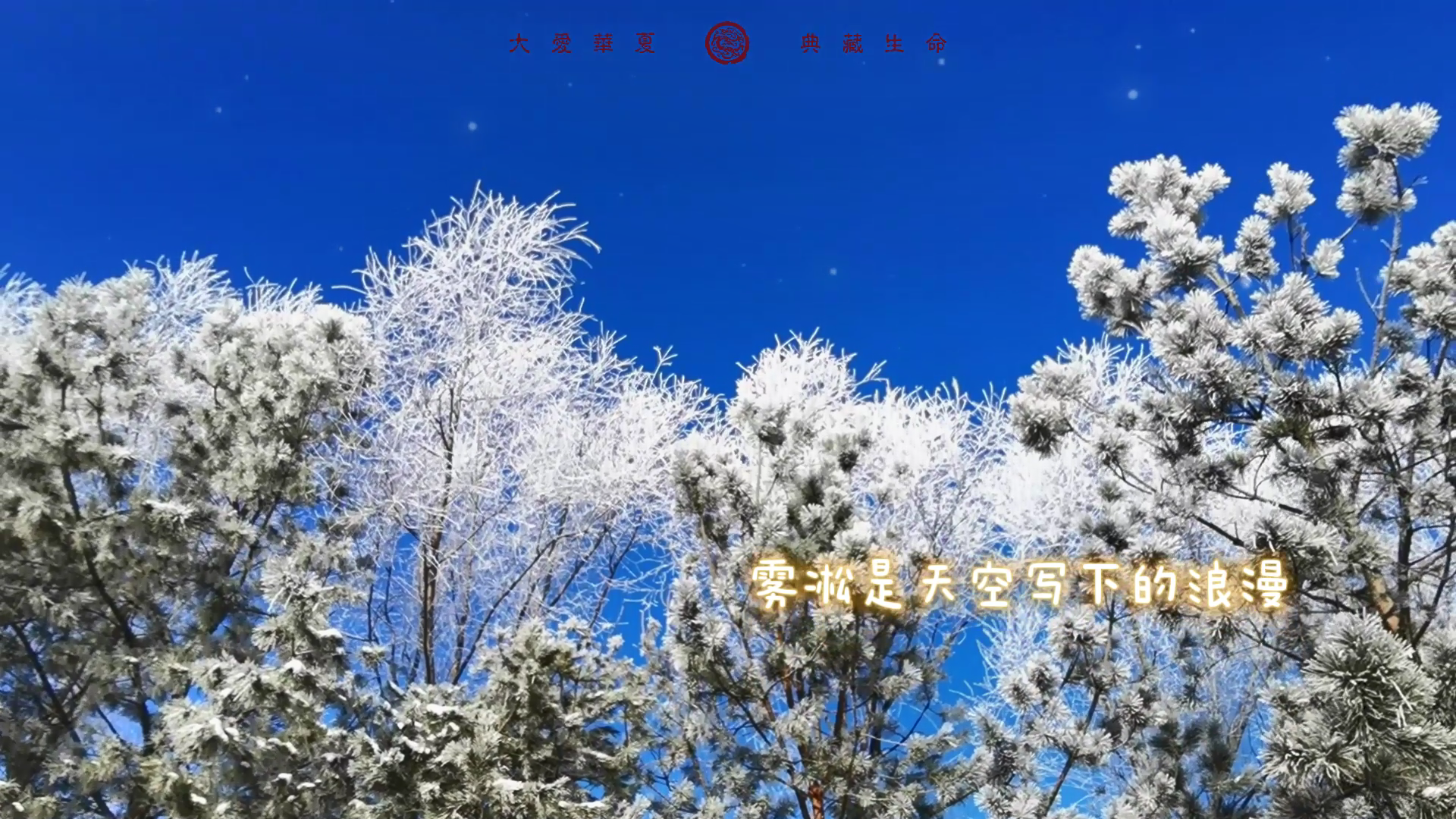 天上有雾，林中有凇，心间有暖