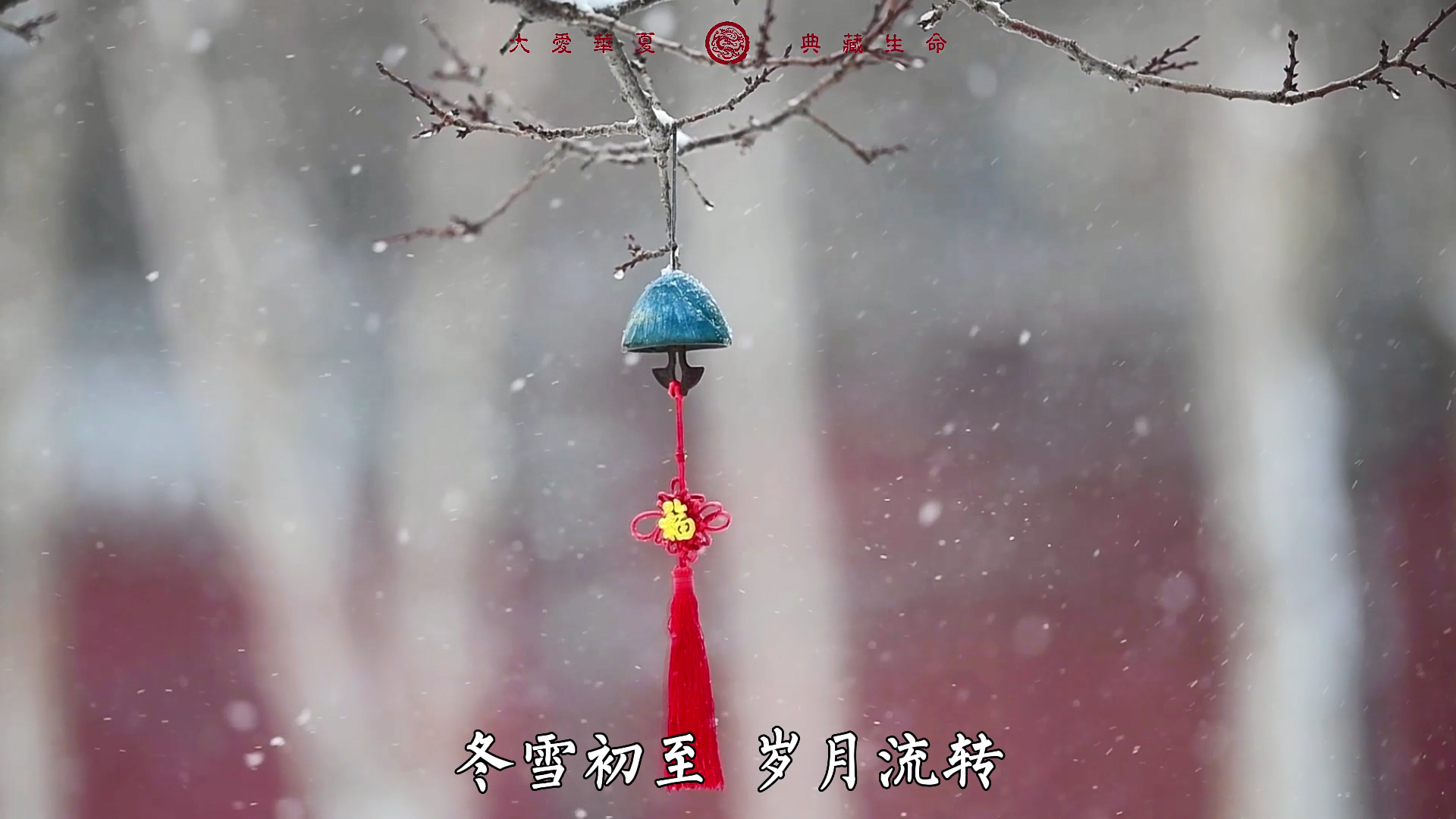 冬雪初至，洒满温暖安然的诗篇